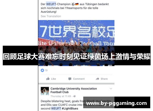 回顾足球大赛难忘时刻见证绿茵场上激情与荣耀