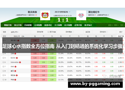 足球心水指数全方位指南 从入门到精通的系统化学习步骤 足球心水指数全方位指南 从入门到精通的系统化学习步骤