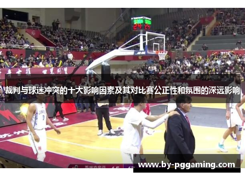 裁判与球迷冲突的十大影响因素及其对比赛公正性和氛围的深远影响