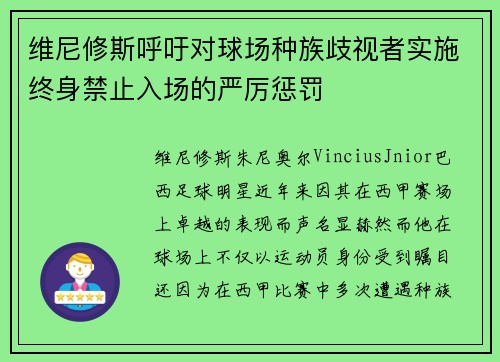 维尼修斯呼吁对球场种族歧视者实施终身禁止入场的严厉惩罚 维尼修斯呼吁对球场种族歧视者实施终身禁止入场的严厉惩罚