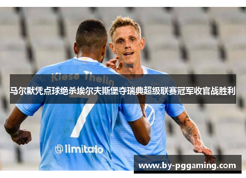 马尔默凭点球绝杀埃尔夫斯堡夺瑞典超级联赛冠军收官战胜利