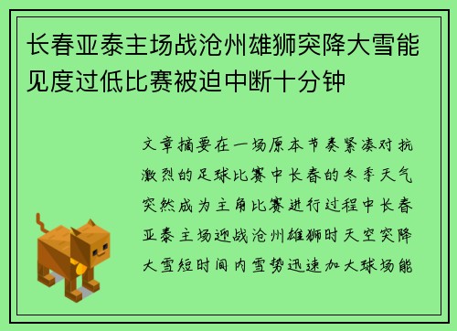长春亚泰主场战沧州雄狮突降大雪能见度过低比赛被迫中断十分钟