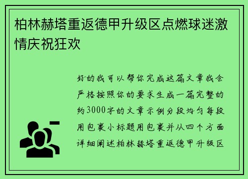 柏林赫塔重返德甲升级区点燃球迷激情庆祝狂欢